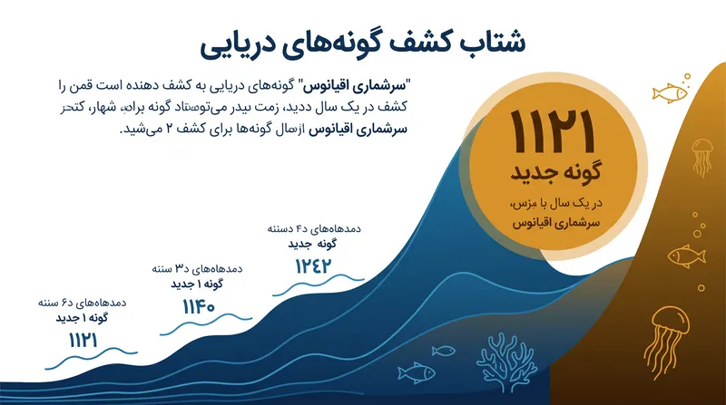 پروژه «سرشماری اقیانوس» نرخ سالانه شناسایی گونههای دریایی را ۵۴٪ افزایش داده است.
