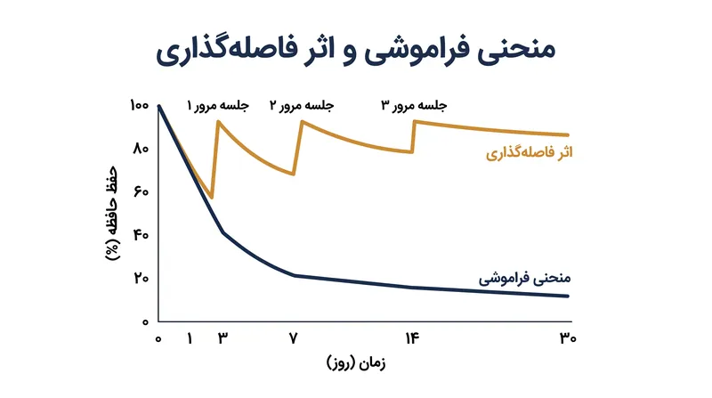 تکرار با فاصله، منحنی فراموشی طبیعی مغز را قطع میکند و یادآوری کوتاهمدت شکننده را به حافظه پایدار تبدیل مینماید.