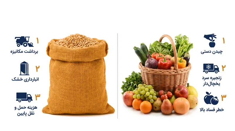 مسیری که غذا از مزرعه تا سفره طی میکند، قیمت نهایی آن را تعیین میکند.