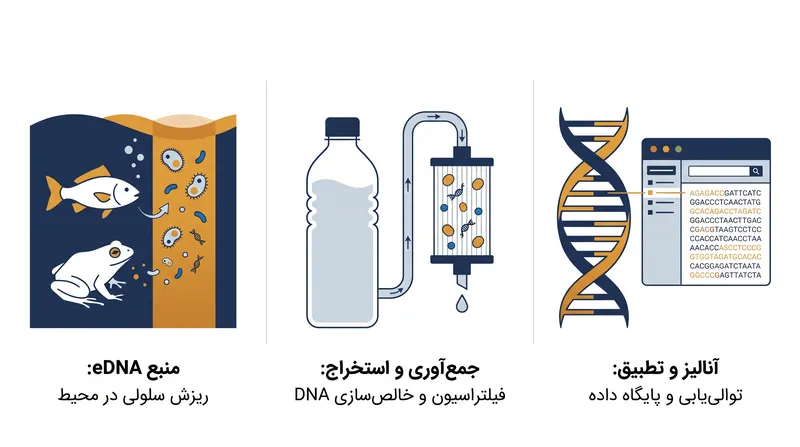 موجودات زنده به طور مداوم مواد ژنتیکی را در محیط اطراف خود رها میکنند که میتوانند فیلتر، توالییابی و با یک کتابخانه مرجع مطابقت داده شوند.