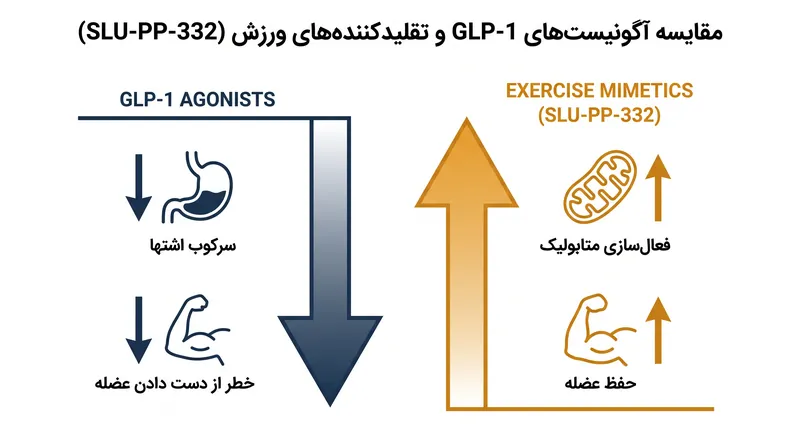 GLP-1ها و تقلیدکننده‌های ورزش مسیرهای متابولیک کاملاً متفاوتی را برای دستیابی به کاهش چربی هدف قرار می‌دهند.