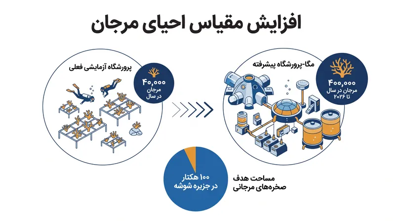 طرح احیای مرجان KAUST در حال حرکت از حفاظت سنتی به کشاورزی دریایی در مقیاس صنعتی است.
