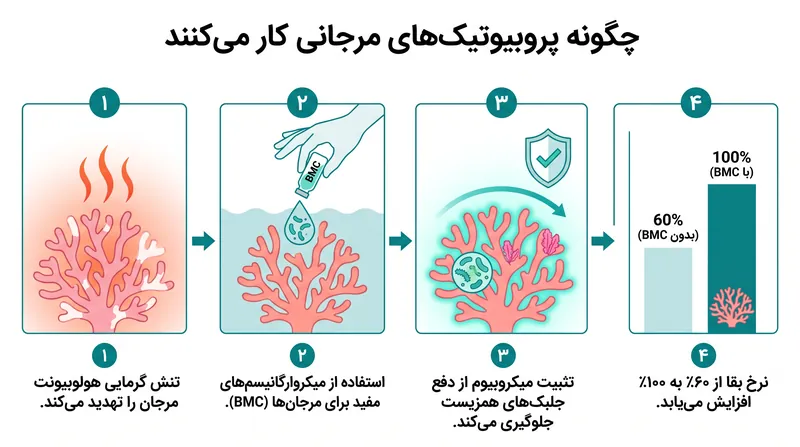 میکروارگانیسم‌های مفید مانند دارو عمل می‌کنند و زیست‌شناسی مرجان را در طول موج‌های گرمای شدید دریایی تثبیت می‌کنند.