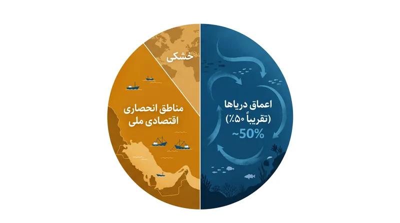 اعماق دریاها تقریباً دو سوم اقیانوس جهانی را تشکیل می‌دهند.