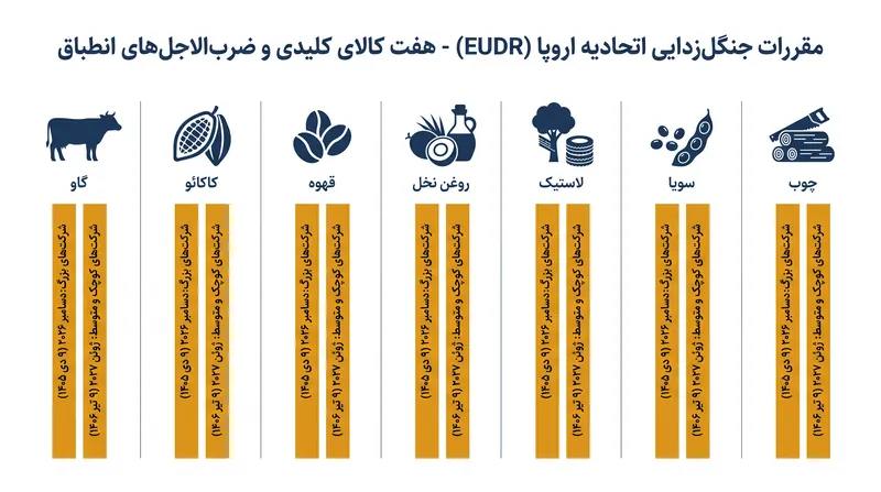 هفت کالای تحت نظارت مقررات EUDR و ضرب‌الاجل‌های انطباق آن‌ها.