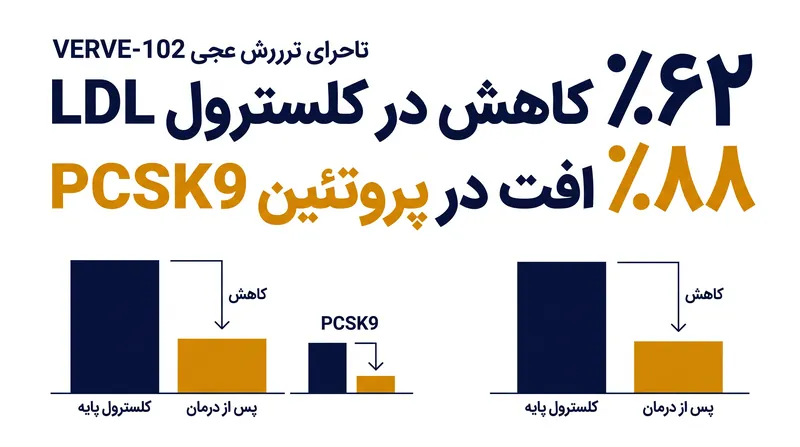 در بالاترین دوز آزمایش شده، درمان ویرایش ژنی به کاهش بی‌سابقه‌ای در پروتئین PCSK9 و کلسترول LDL در گردش خون دست یافت.