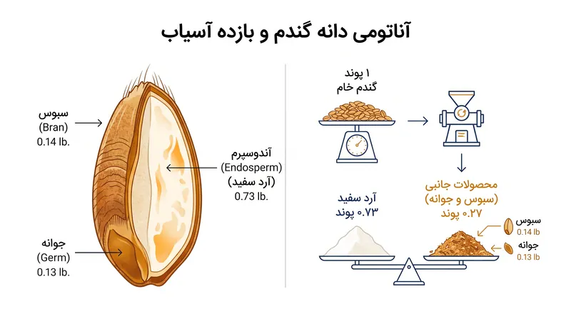 بازده آسیاب و محصولات جانبی نقش مهمی در تثبیت هزینه نهایی آرد دارند.