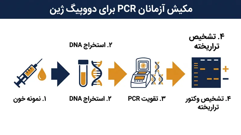 آزمایش واکنش زنجیره‌ای پلیمراز (PCR) به آزمایشگاه‌ها اجازه می‌دهد تا وکتورهای ویروسی مورد استفاده برای انتقال اصلاحات ژنتیکی را تشخیص دهند.
