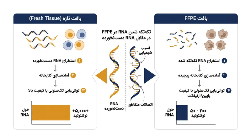 تثبیت با فرمالین ساختار بافت را حفظ می‌کند اما RNA سلولی را به شدت تکه‌تکه می‌کند، که نیازمند رویکردهای توالی‌یابی جدید است.