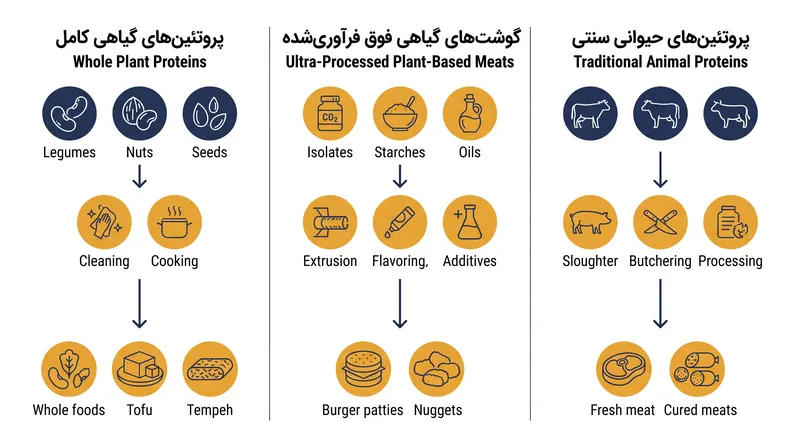 مسیر صنعتی از گیاه خام تا نمونه گوشتی مهندسی‌شده شامل فرآوری و غنی‌سازی قابل توجهی است.