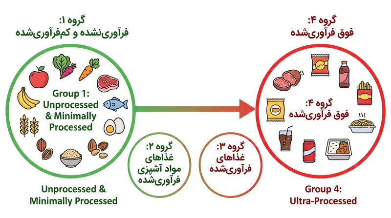 سیستم طبقه‌بندی نوا (NOVA) غذاها را بر اساس میزان فرآوری صنعتی آن‌ها دسته‌بندی می‌کند.