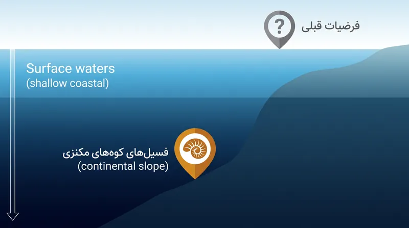 شواهد زمین‌شناسی نشان می‌دهد که این حیوانات اولیه در محیط پایدار شیب قاره‌ای عمیق رشد کرده‌اند.