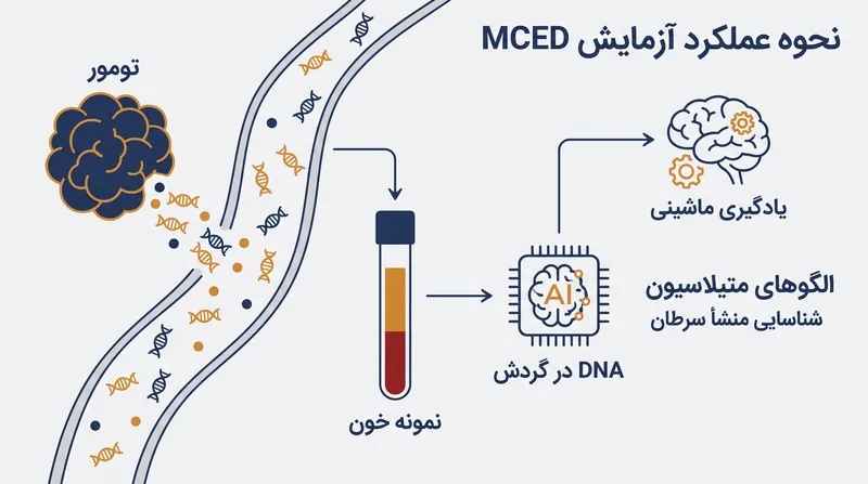 این آزمایش سرطان را با شناسایی نشانگرهای شیمیایی متمایز روی DNA تومور که در خون گردش می‌کند، تشخیص می‌دهد.