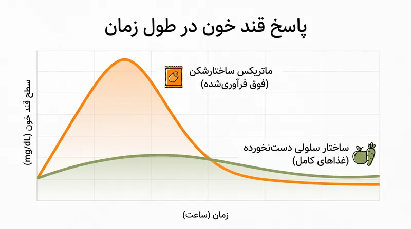 غذاهای پیش‌هضم‌شده صنعتی، ترمزهای فیبری طبیعی بدن را دور می‌زنند و باعث سیل سریع مواد مغذی می‌شوند.