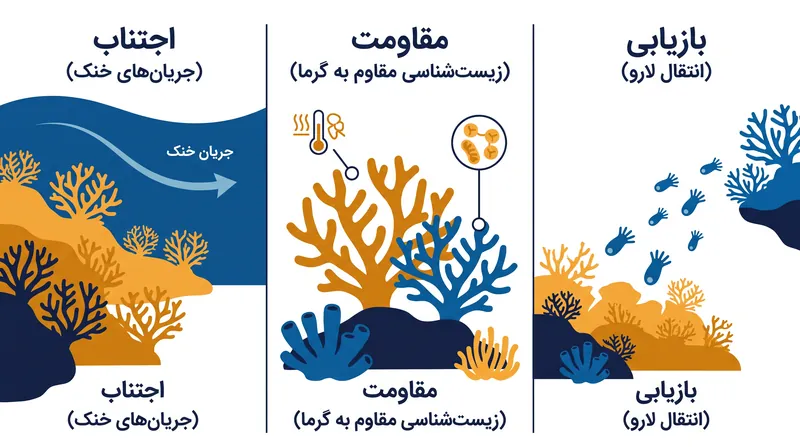 پناهگاه‌های اقلیمی به مرجان‌ها اجازه می‌دهند از طریق اجتناب فیزیکی، مقاومت بیولوژیکی یا بازیابی سریع، جان سالم به در ببرند.
