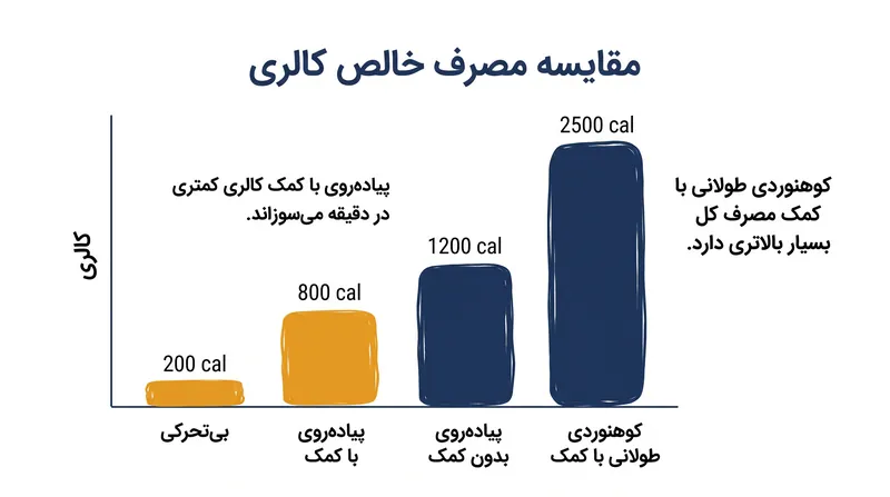 در حالی که اسکلت‌های بیرونی هزینه انرژی در هر قدم را کاهش می‌دهند، اغلب با اجازه دادن به کاربران برای ورزش در مدت زمان بسیار طولانی‌تر، منجر به مصرف کالری کلی بالاتری می‌شوند.