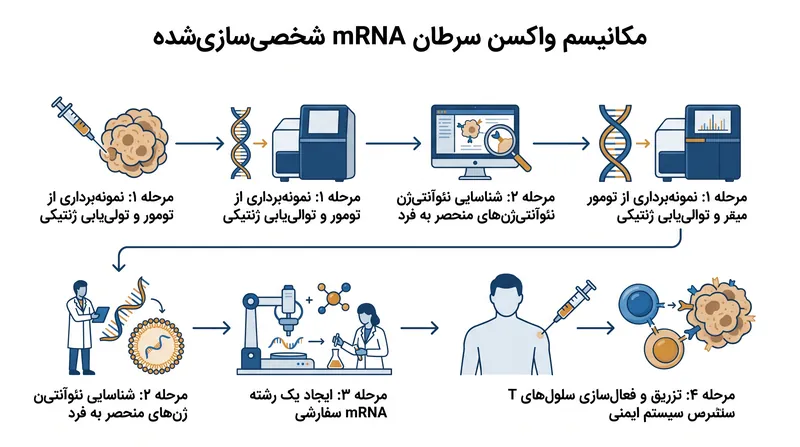 چگونه درمان نئوآنتی‌ژن فردی‌شده، سیستم ایمنی را برای هدف قرار دادن سلول‌های سرطانی خاص آموزش می‌دهد.