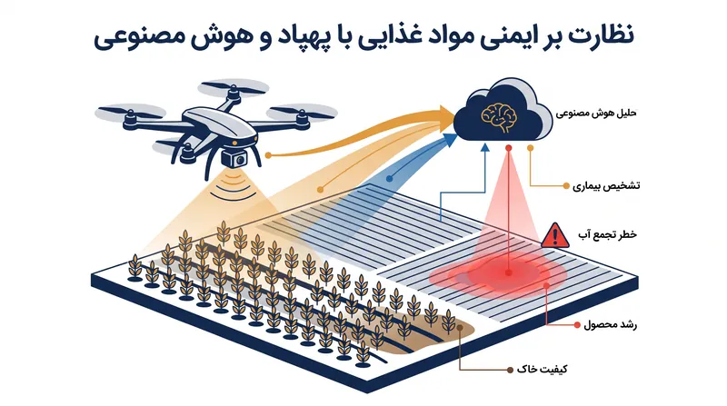 چگونه هوش مصنوعی و پهپادها با همکاری یکدیگر ایمنی مواد غذایی را از واکنشی به پیشگیرانه تغییر می‌دهند.