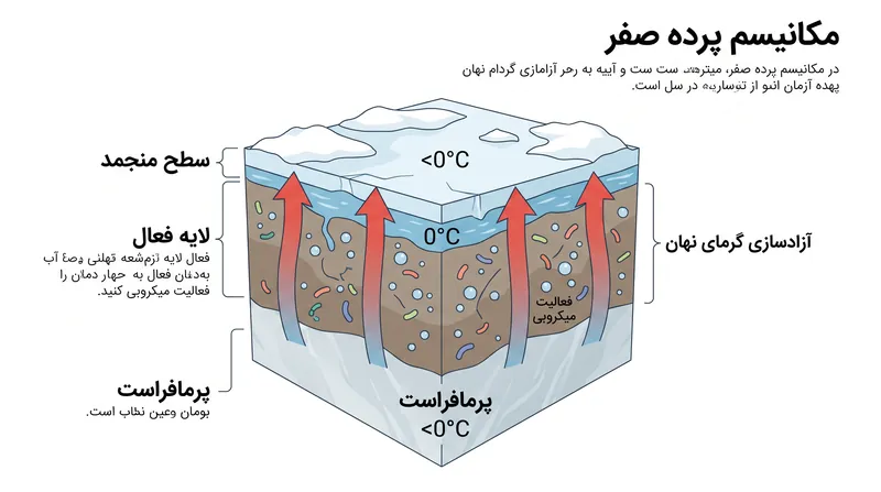 گرمای نهان آزاد شده در هنگام انجماد، یک فلات حرارتی زیرسطحی را حفظ می‌کند و امکان پایداری آب مایع و فعالیت میکروبی را فراهم می‌سازد.