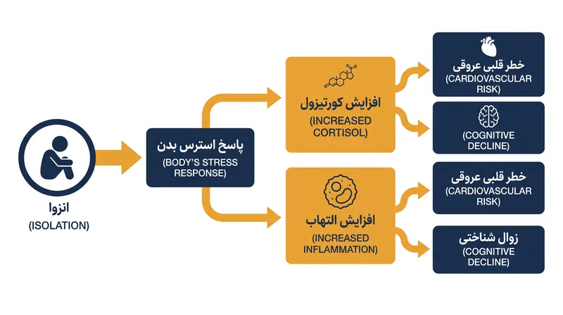 آسیب بیولوژیکی انزوای مزمن بسیار فراتر از ناراحتی عاطفی است.