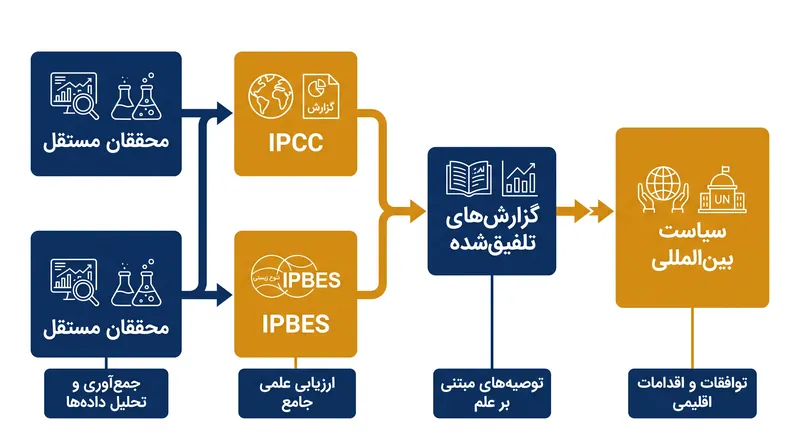 نحوه جریان تحقیقات علمی مستقل از طریق IPCC و IPBES برای اطلاع‌رسانی به سیاست‌های محیط زیست جهانی.