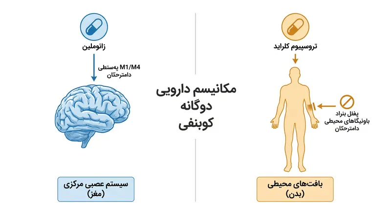 تروسپیوم کلراید با مسدود کردن گیرنده‌های خارج از مغز، از ایجاد عوارض جانبی محیطی شدید توسط زانوملین جلوگیری می‌کند.