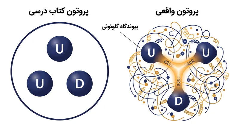 مدل سنتی کتاب درسی از یک پروتون در مقایسه با واقعیت پیچیده کرومودینامیک کوانتومی.