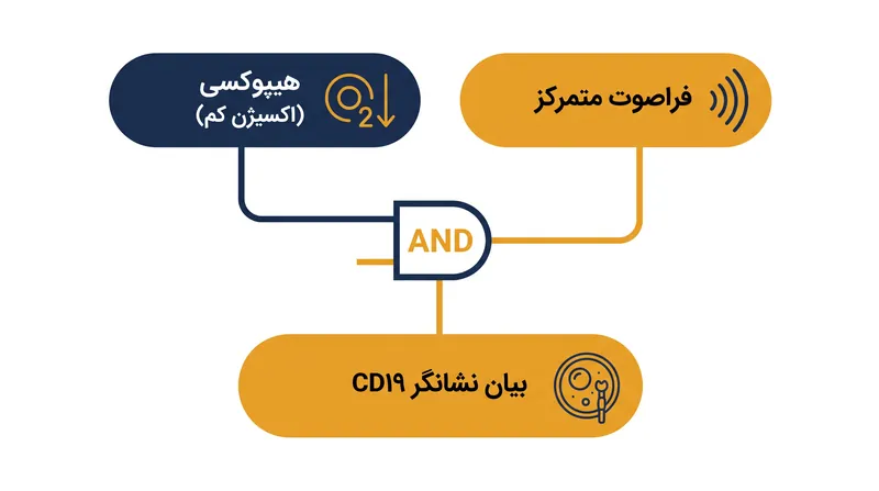 مدار ژنتیکی SHIFTERS برای فعال شدن به دو محرک همزمان نیاز دارد و از اثرات ناخواسته جلوگیری می‌کند.