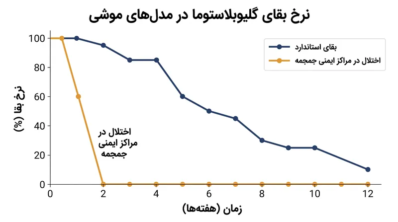 مختل کردن ساختارهای ایمنی محلی جمجمه، رشد تومور را به طور قابل توجهی تسریع کرد و بقا را در موش‌ها کاهش داد.
