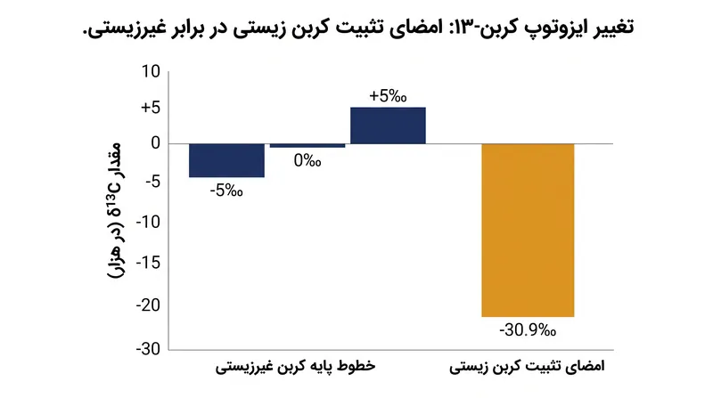 تغییر متمایز ایزوتوپ کربن در کروژن سنگ، اثر انگشت شیمیایی قوی متابولیسم زیستی است.