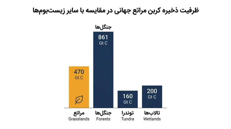 مراتع تقریباً یک سوم کربن خاک جهان را ذخیره می‌کنند، که آنها را برای ثبات اقلیمی جهانی حیاتی می‌سازد.