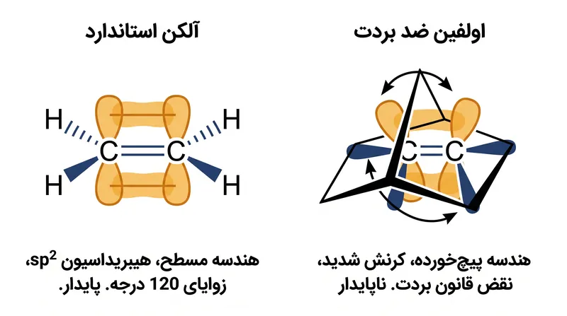 قانون بردت بیان می‌کرد که به دلیل کرنش هندسی شدید، پیوندهای دوگانه نمی‌توانند در سر پل یک مولکول دو حلقه‌ای وجود داشته باشند.