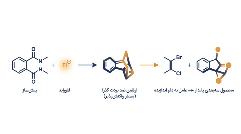 با در نظر گرفتن اولفین ضد بردت بسیار واکنش‌پذیر به عنوان یک حد واسط گذرا، شیمیدانان می‌توانند آن را به دام انداخته و ساختارهای سه‌بعدی پایداری تشکیل دهند.