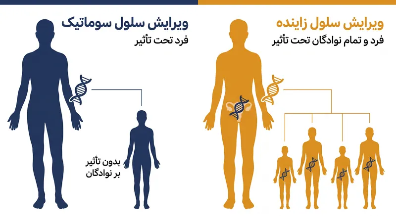 تغییرات سوماتیک با بیمار به پایان می‌رسد؛ تغییرات ژرملین توسط تمام نسل‌های آینده به ارث برده می‌شوند.