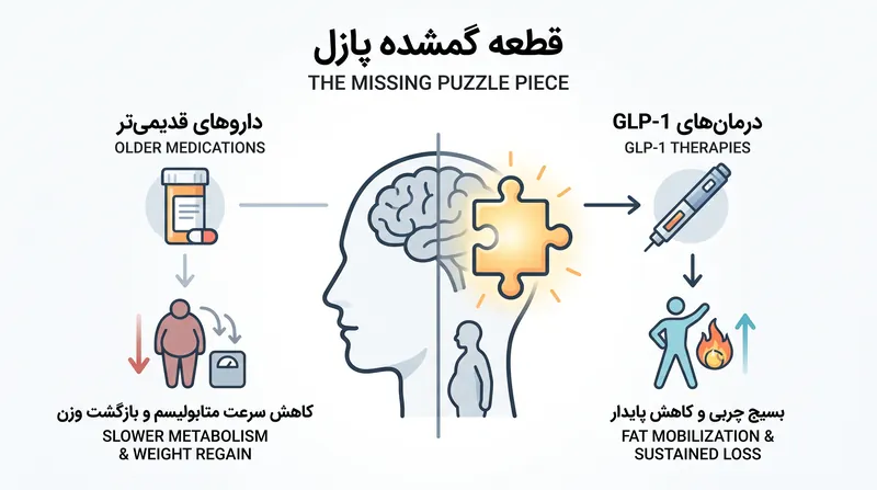 برخلاف سرکوب‌کننده‌های اشتهای قدیمی‌تر، GLP-1ها از کند شدن متابولیسم بدن برای حفظ انرژی جلوگیری می‌کنند.