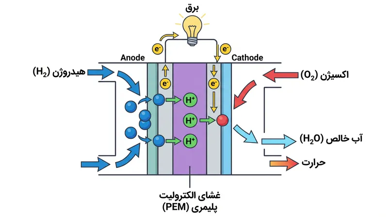 تنها محصولات جانبی یک پیل سوختی هیدروژنی، برق و آب خالص هستند.
