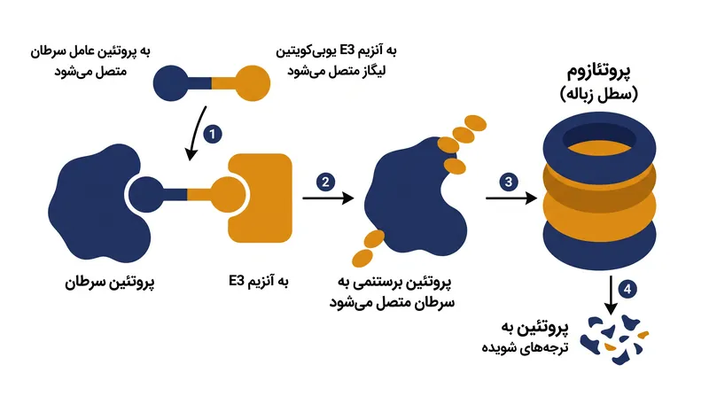 برخلاف مهارکننده‌های سنتی که پروتئین‌ها را مسدود می‌کنند، داروهای پروتک (PROTAC) پروتئین‌های عامل بیماری را برای تخریب کامل توسط سیستم دفع طبیعی سلول نشانه‌گذاری می‌کنند.