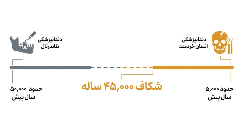 کشف سیبری، منشأ شناخته شده دندانپزشکی تهاجمی را بیش از ۴۰,۰۰۰ سال به عقب می‌راند.