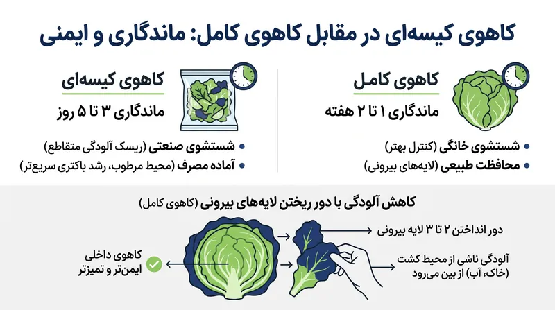 آسیب سلولی ناشی از خرد کردن، ماندگاری سبزیجات کیسه‌ای را به شدت کاهش می‌دهد.