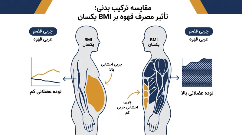مصرف‌کنندگان قهوه نسبت مطلوب‌تری از عضله به چربی را نشان دادند، با وجود اینکه BMI مشابهی با مصرف‌کنندگان کم داشتند.