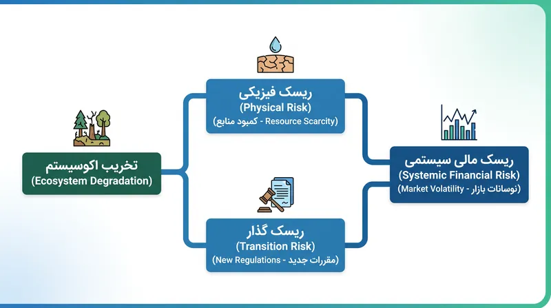 چگونه تخریب محلی محیط زیست به ریسک مالی سیستمی در بازارهای جهانی تبدیل می‌شود.