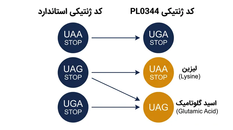 برخلاف کد ژنتیکی استاندارد، Oligohymenophorea sp. PL0344 کدون‌های UAA و UAG را برای کدگذاری اسیدهای آمینه متفاوت از هم جدا می‌کند.