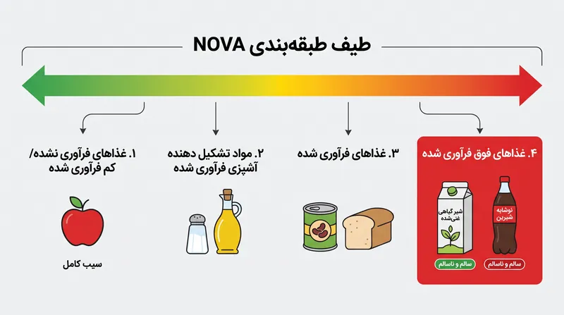 سیستم طبقه‌بندی NOVA غذاها را بر اساس سطح فرآوری گروه‌بندی می‌کند و شیرهای گیاهی سالم را در همان دسته نوشابه‌های شیرین قرار می‌دهد.