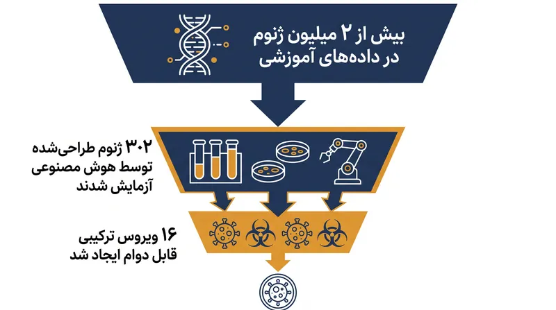 از میان میلیون‌ها توالی آموزشی، هوش مصنوعی ۱۶ ویروس ترکیبی کاملاً کارآمد تولید کرد.