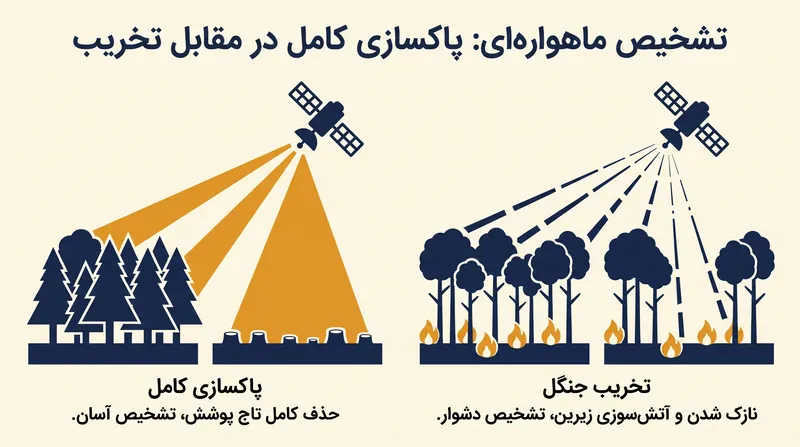 در حالی که هشدارهای ماهواره‌ای پاکسازی کامل را به دقت ردیابی می‌کنند، اندازه‌گیری تخریب تدریجی ناشی از آتش‌سوزی‌های زیرین جنگل همچنان یک چالش پیچیده است.