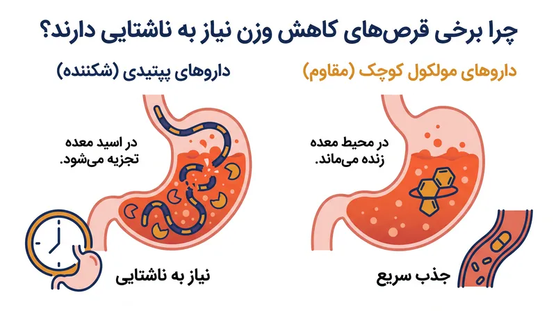 داروهای با مولکول کوچک می‌توانند در محیط خشن دستگاه گوارش زنده بمانند.