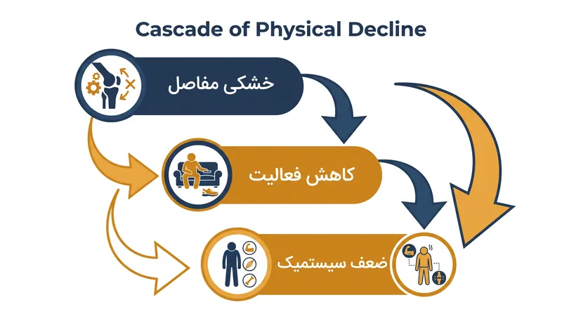 خشکی مفاصل هزینه انرژی حرکت را افزایش می‌دهد و اغلب باعث شروع یک مارپیچ نزولی از عدم فعالیت و ضعف جسمانی می‌شود.