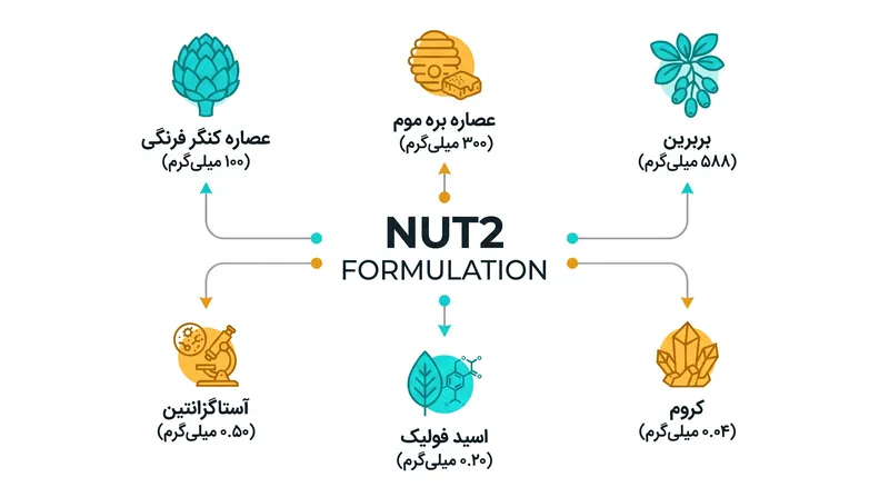 فرمولاسیون جدید با استفاده از ترکیبی از شش ماده مغذی متمایز، مسیرهای متابولیک متعددی را هدف قرار می‌دهد.