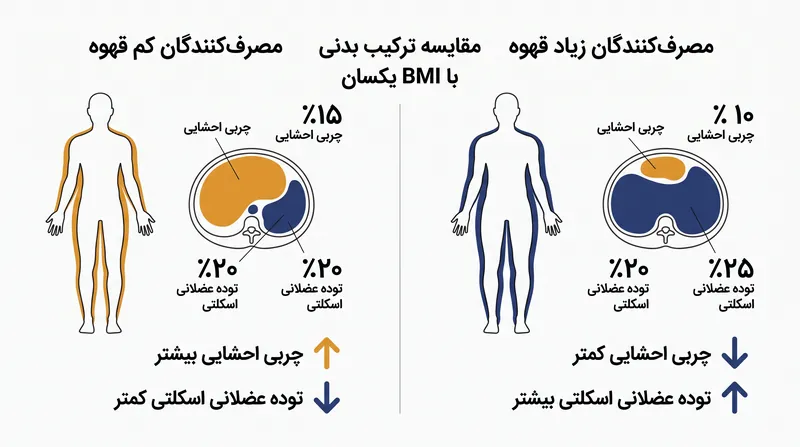 مصرف‌کنندگان همیشگی قهوه ترکیب بدنی لاغرتری نسبت به افرادی که قهوه نمی‌نوشند، نشان دادند، حتی زمانی که شاخص توده بدنی کلی آن‌ها یکسان بود.