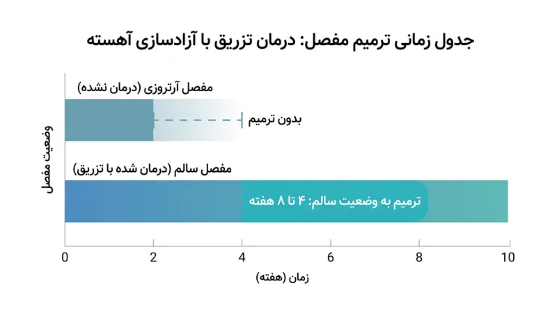 در آزمایش‌های پیش‌بالینی، تزریق با آزادسازی آهسته، مفاصل آسیب‌دیده را ظرف چند هفته ترمیم کرد.